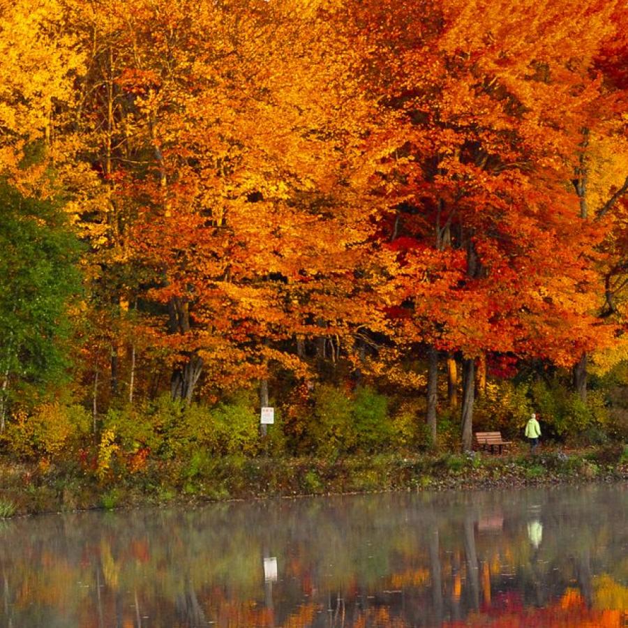 Vélo de route et de ville ExploreNB / Tourisme NouveauBrunswick